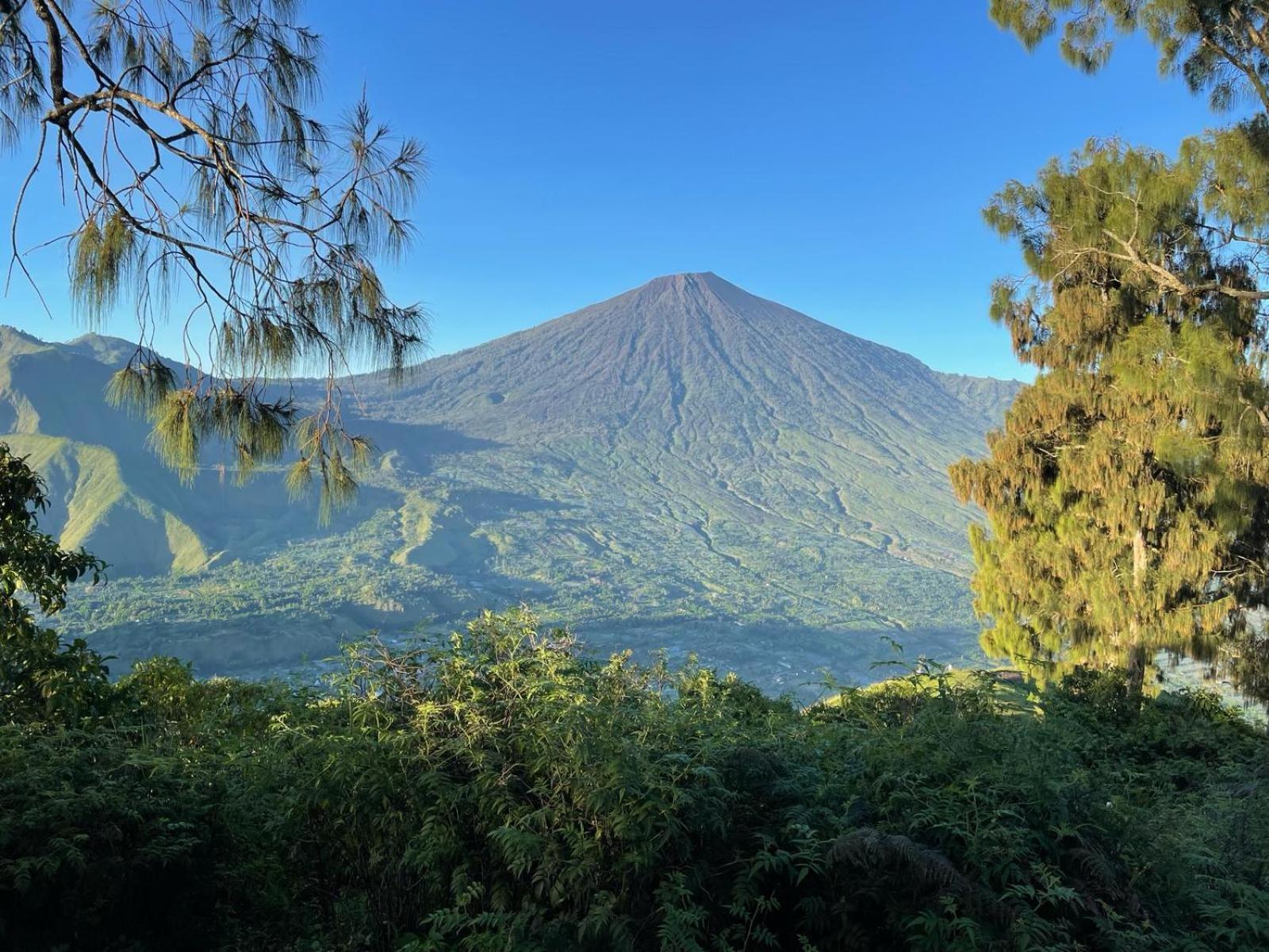 Avocado Homestay Тетебату Екстер'єр фото