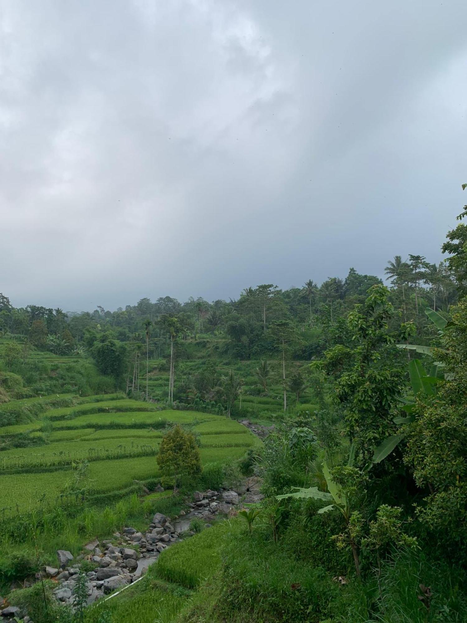 Avocado Homestay Тетебату Екстер'єр фото