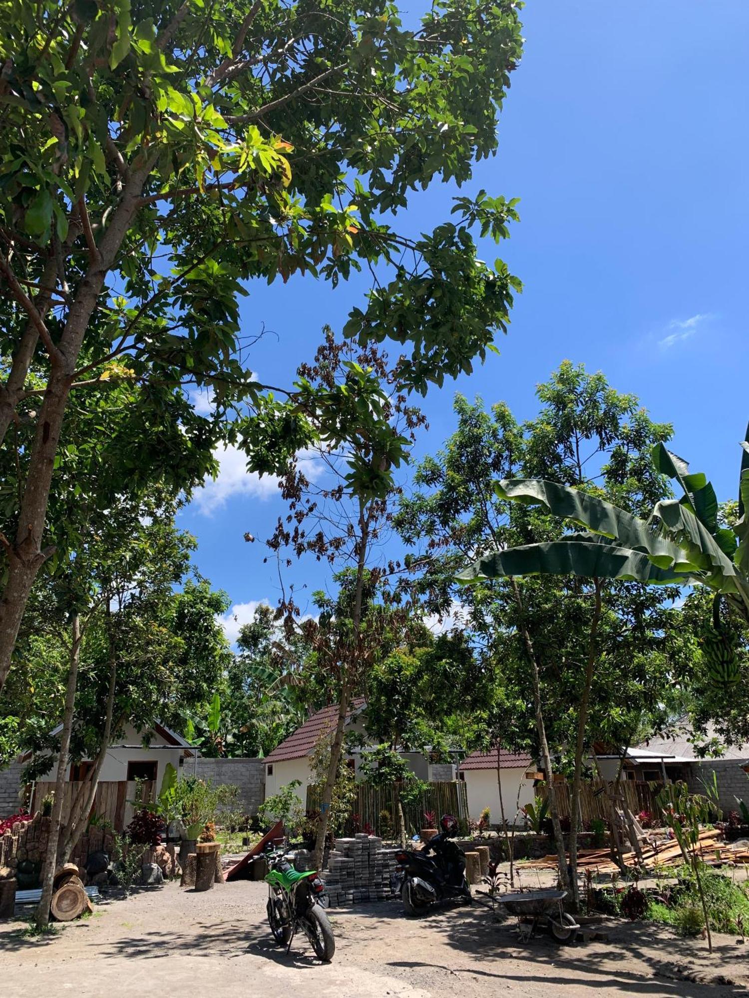 Avocado Homestay Тетебату Екстер'єр фото