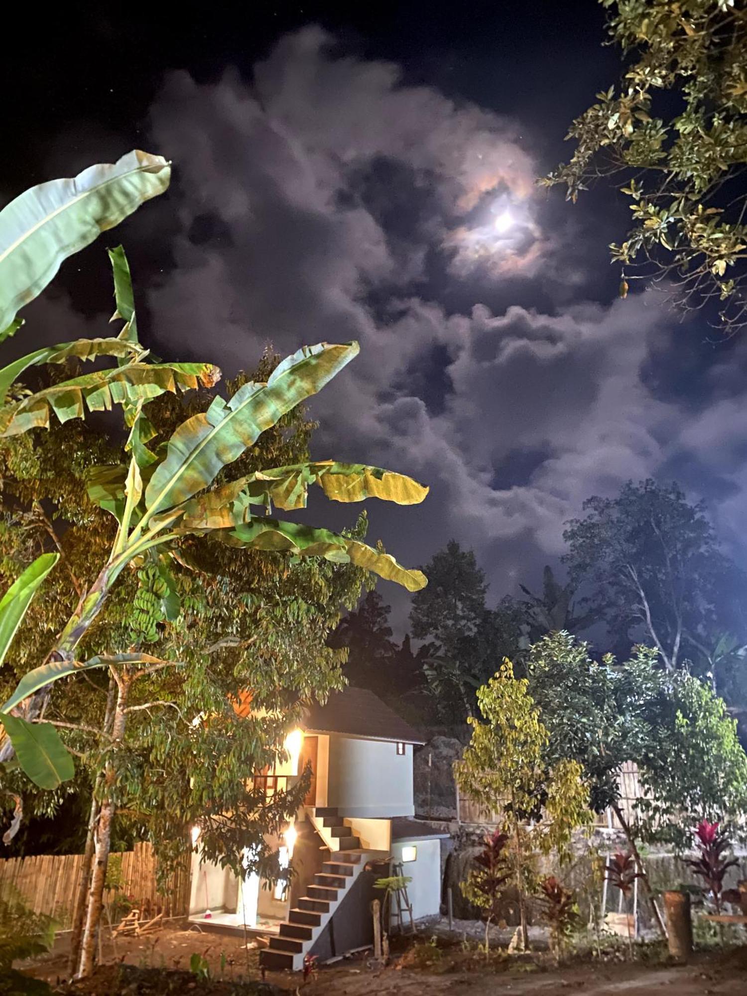 Avocado Homestay Тетебату Екстер'єр фото